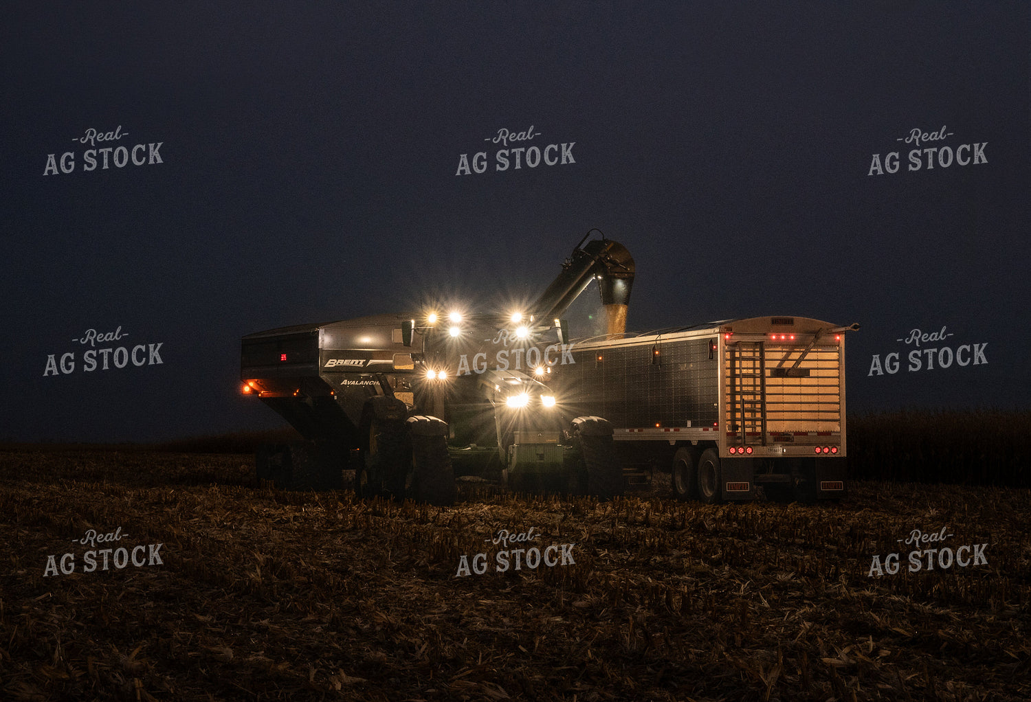 Corn Harvest 185123