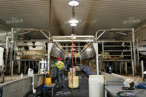 Milking Parlor 152743