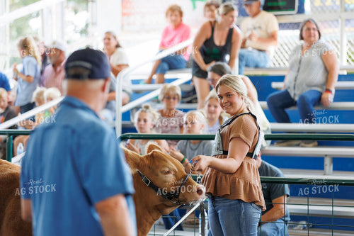 Showing Cattle 52762