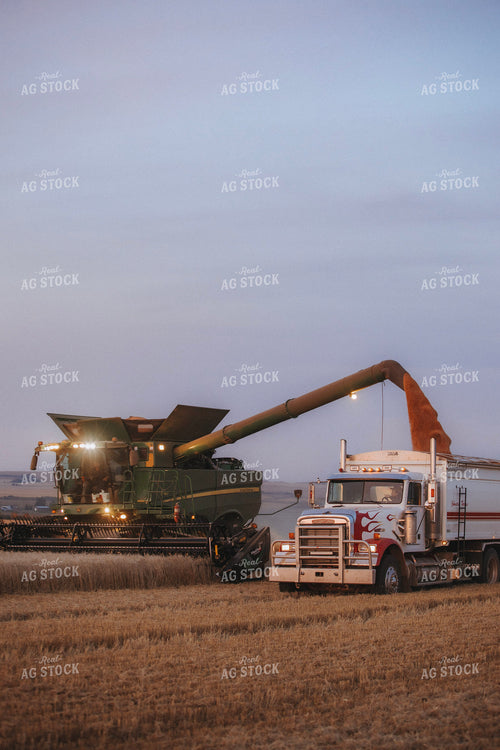 Wheat Harvest 187402
