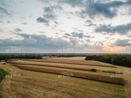 Corn Harvest 115113