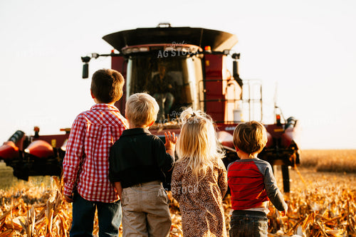 Farm Family in Corn Field 223021