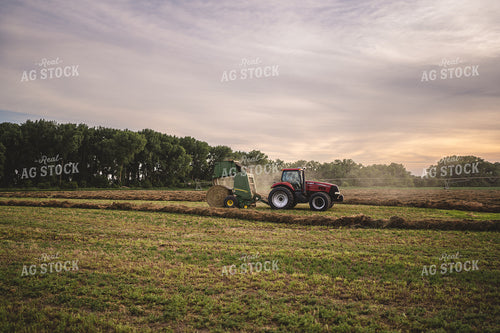 Baling Hay 196051