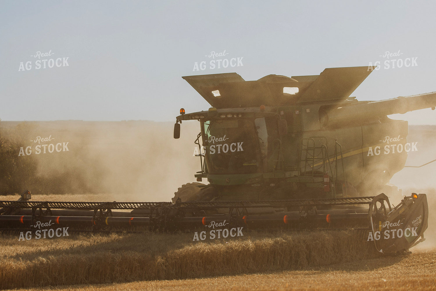 Wheat Harvest 187291