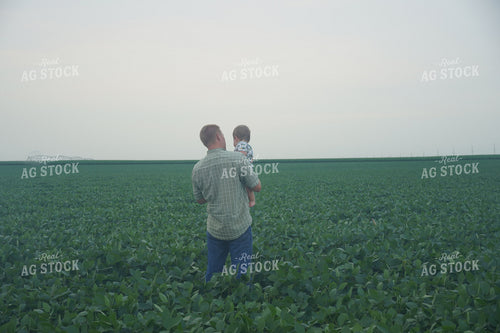 Farmer and Farm Kid in Soybean Field 65020