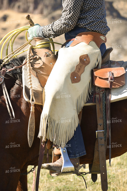 Rancher on Horseback 263008