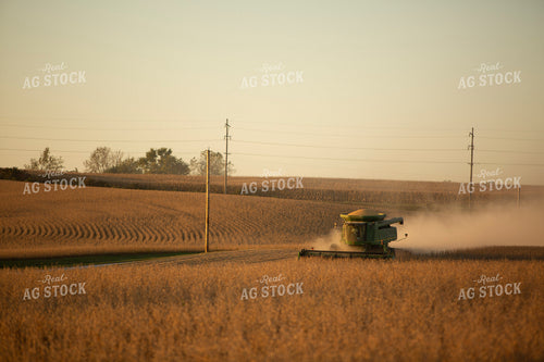 Soybeans - Dry 1557