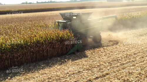 Corn Harvest 287000