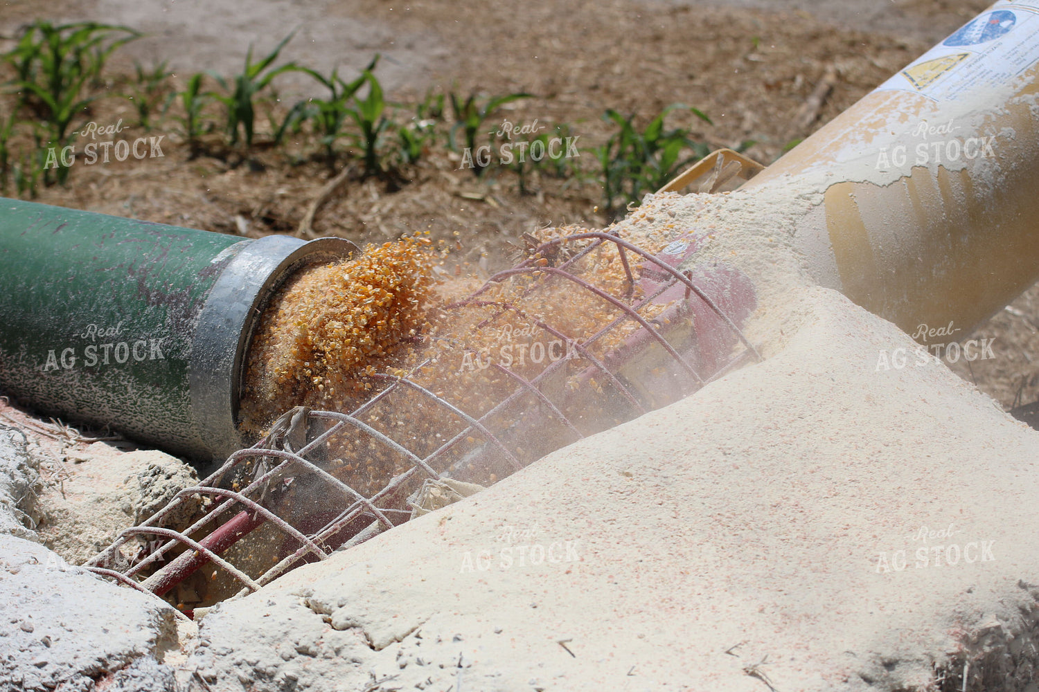Corn Kernels and Floor Auger 82063