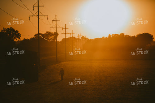 Farmer Walking from Tractor to Truck in Soybean Field Silhouette 4755