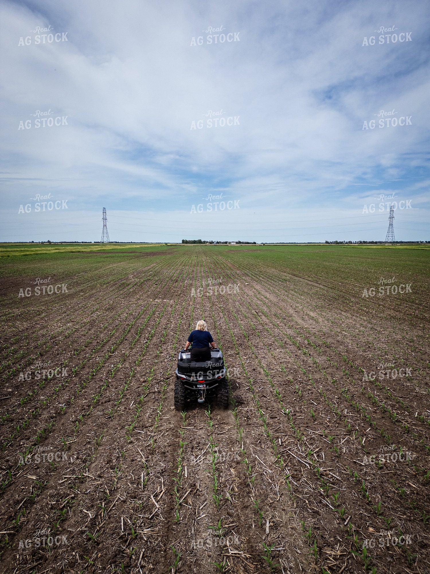 Female Agronomist Scouting Field 67727