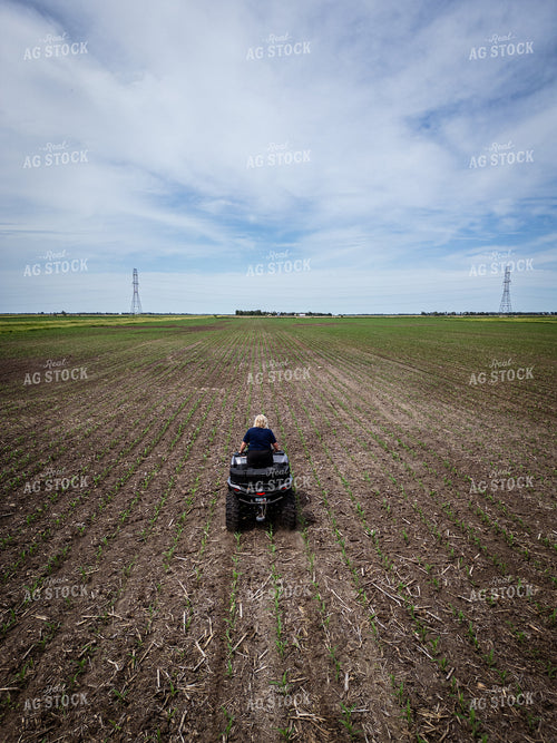 Female Agronomist Scouting Field 67727