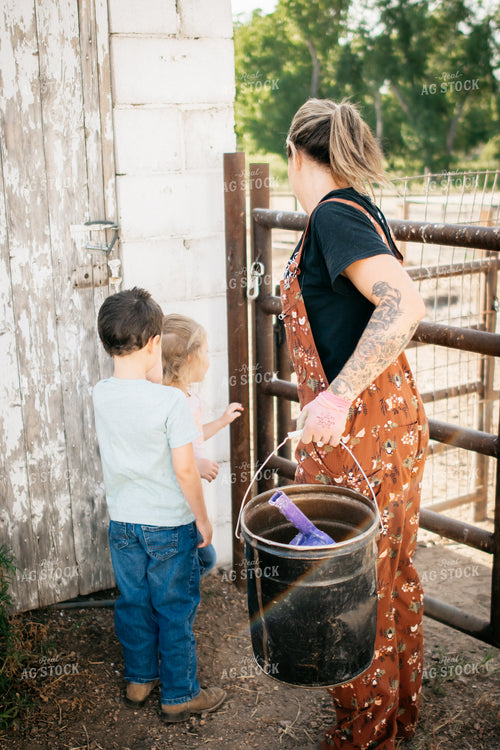 Farmer and Farm Kids Feeding Livestock 218049
