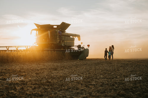 Farm Family in Soybean Field at Dusk 6965