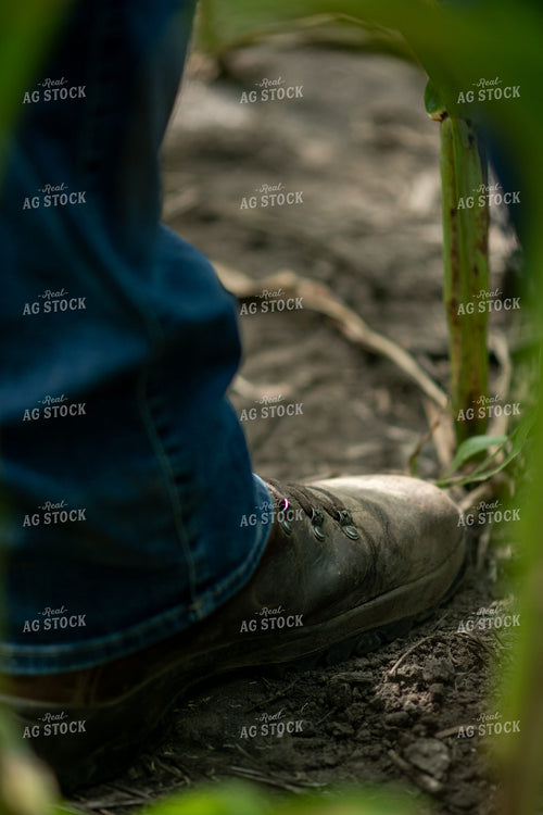 Boots 76700