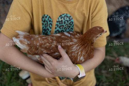 Farm Kid Holding Chicken 205049