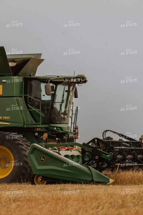 Wheat Harvest 187184