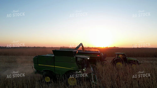 Corn Harvest 65478
