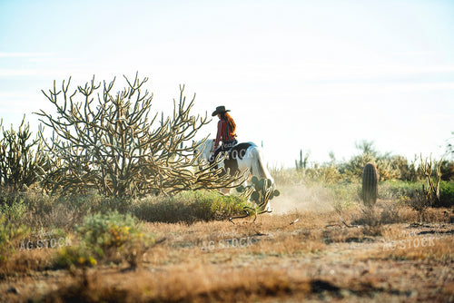 Rancher on Horseback 69026