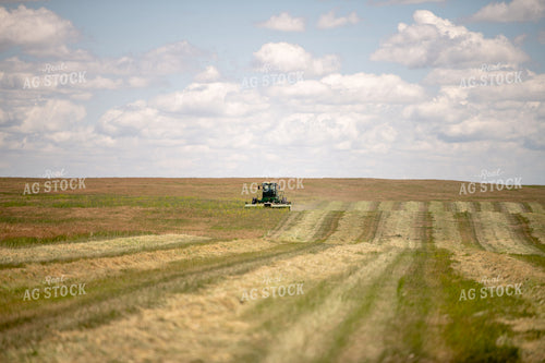 Cutting Hay 212044
