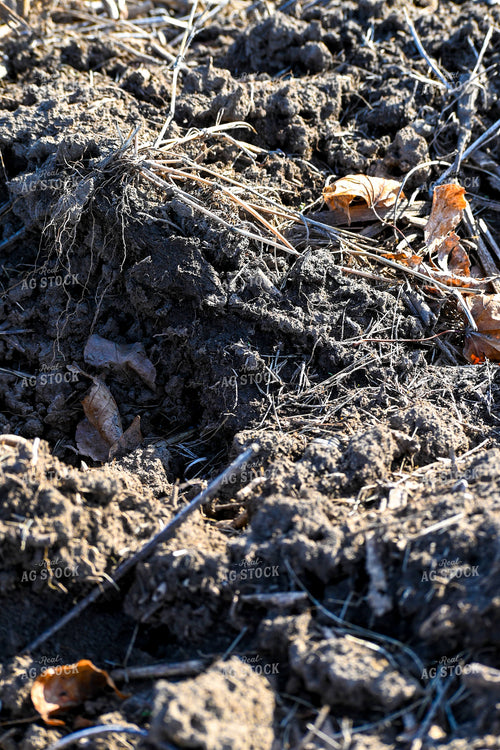 Tilled Soil 166027