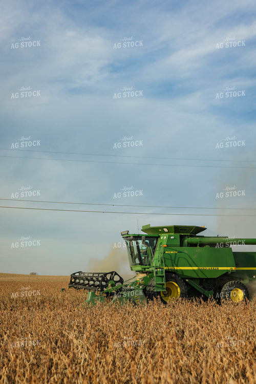 Soybean Harvest 152619