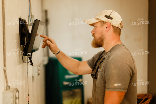 Farmer Checking Moisture of Stored Corn 9335