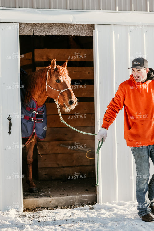 Rancher and Horse in Stable 64213