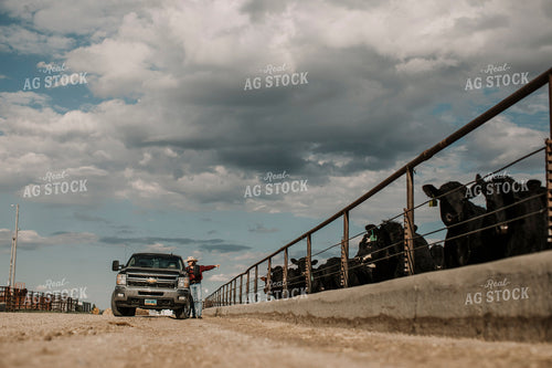 Feedyard 3023