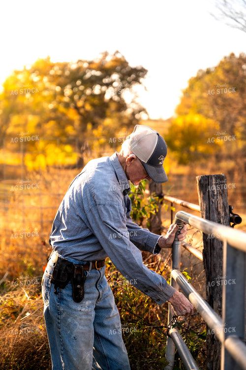 Farmer Closing Fence 115489