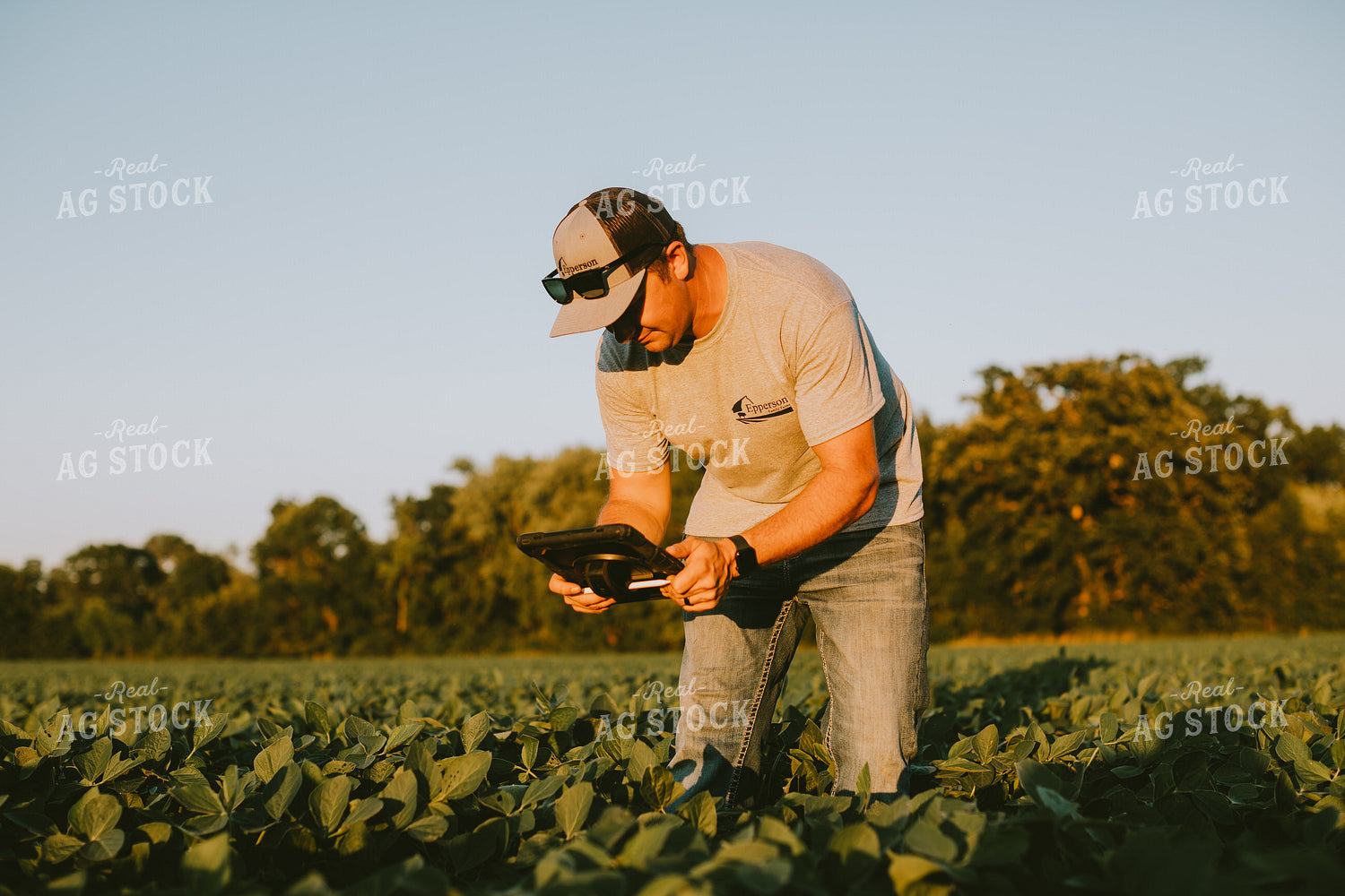 Farmer in Soybean Field with Tablet 6123