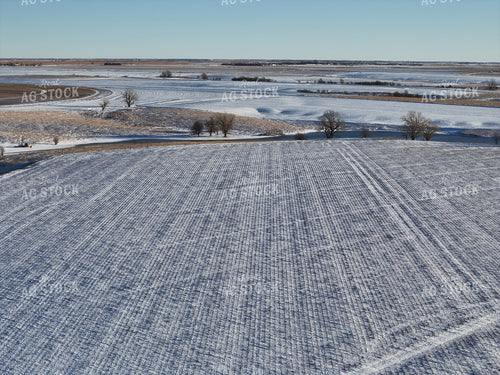 Winter Landscape 239464