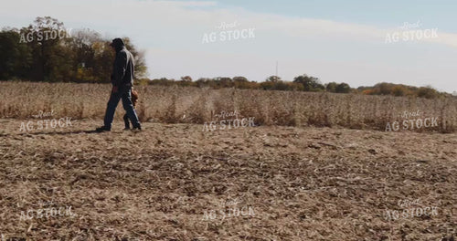 Farmer and Farm Kid Walking Through Bean Field to Tandem Truck 3946