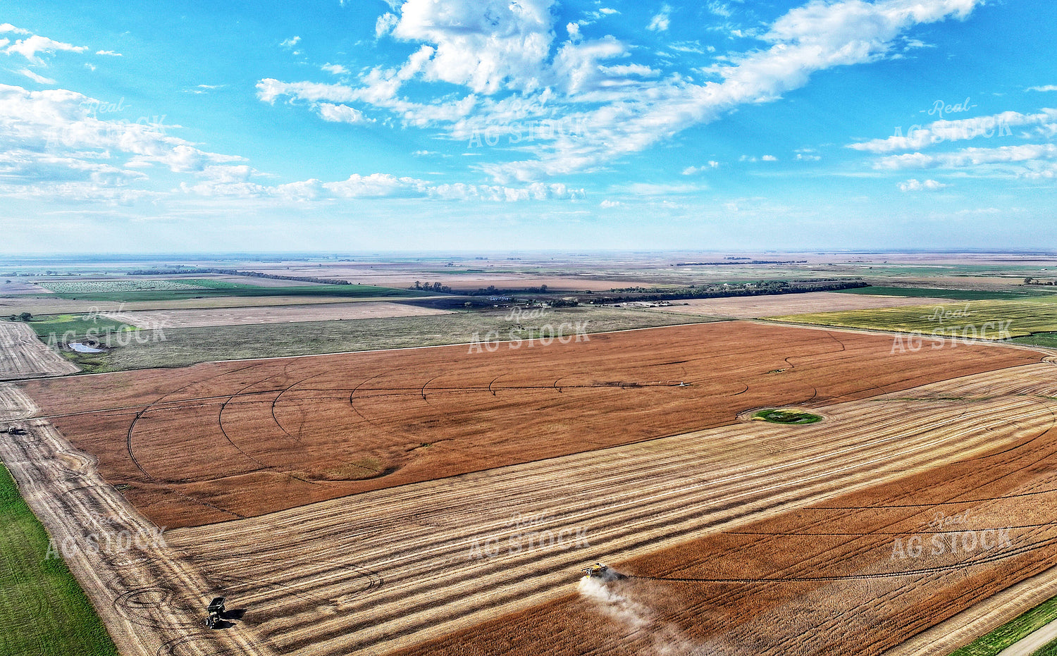 Soybean Harvest 141451
