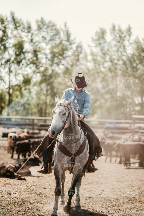 Rancher in Cattle Pen on Horseback 64031