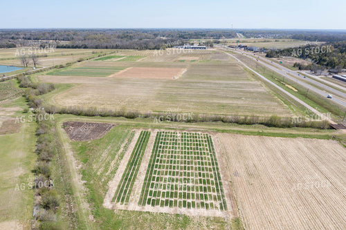 Aerial View of Farmland 79224