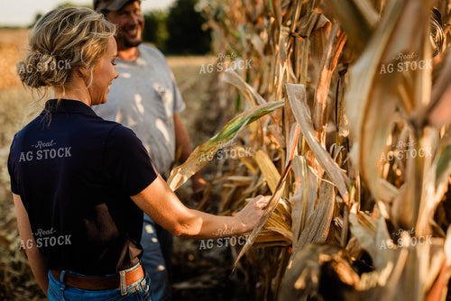 Farmer and Agronomist Talking in Field 8286