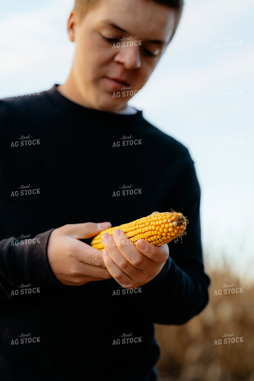 Young Farmer Checking Corn 68348