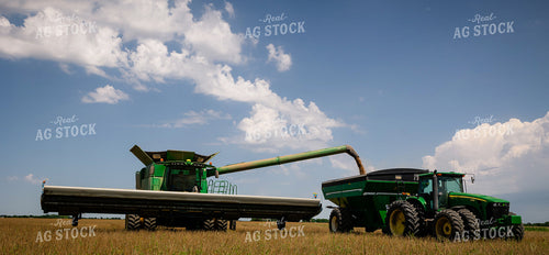 Wheat Harvest 219108