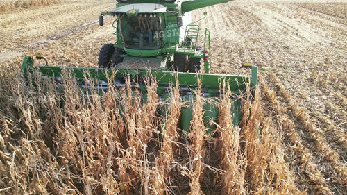 Aerial of Harvested White Corn in Combine 65561