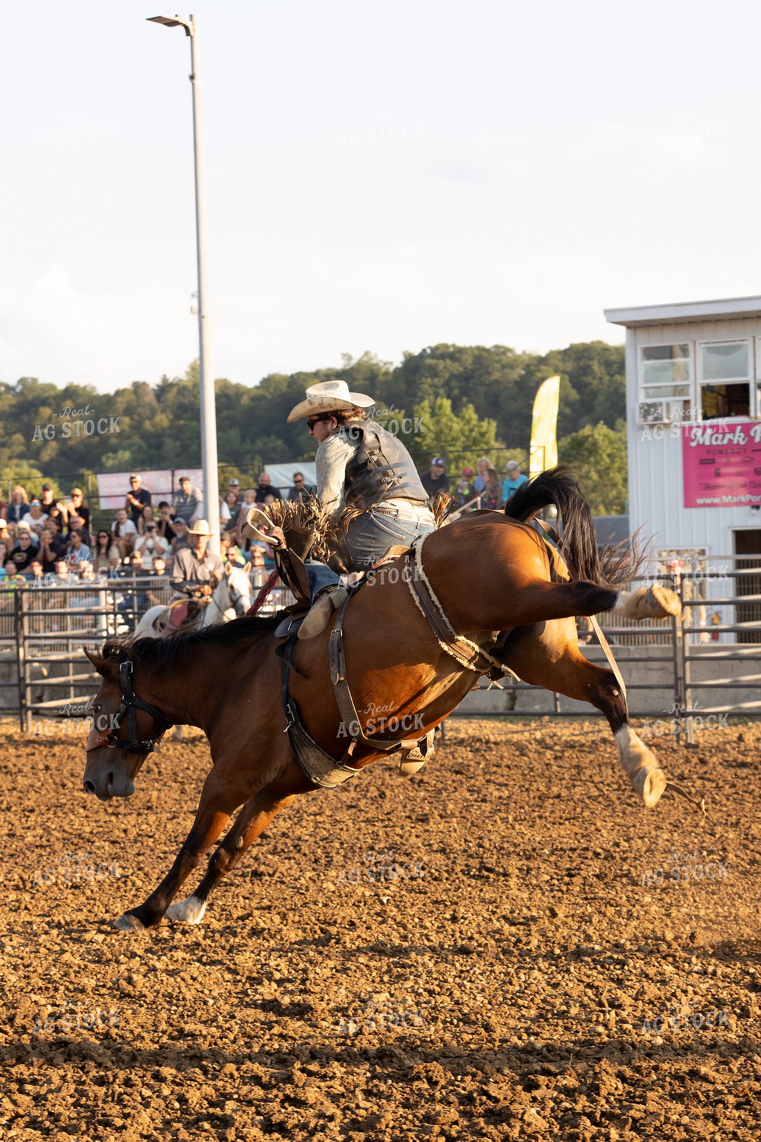 Rodeo 295138