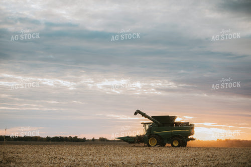 Corn Harvest 6926