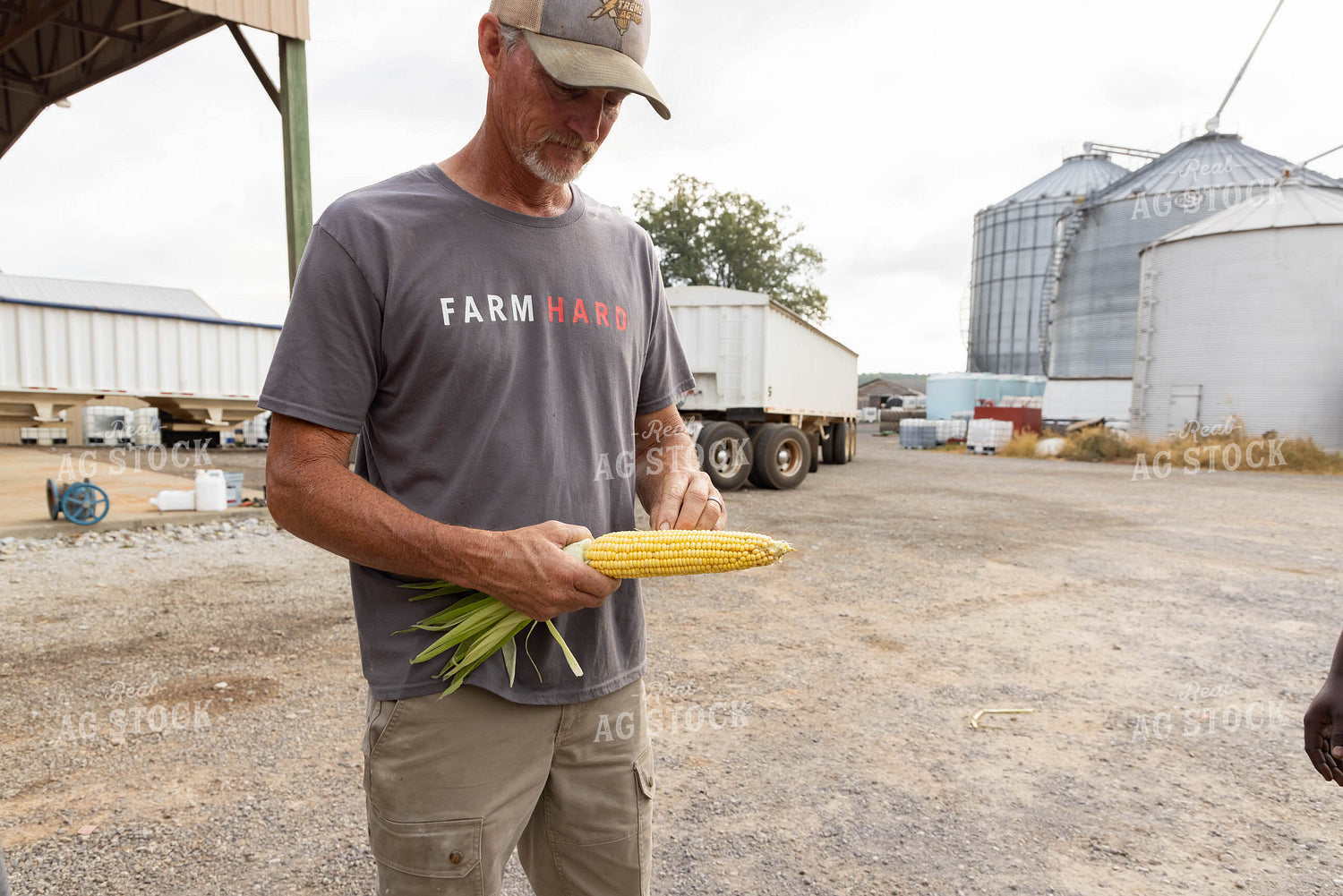 Farmer Checking Corn 79683