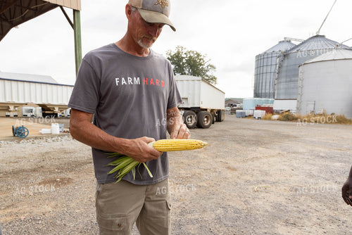 Farmer Checking Corn 79683