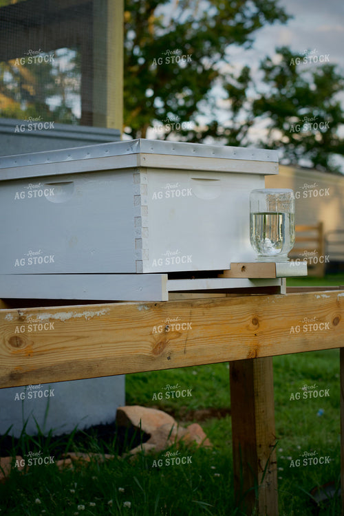Bee Box 251136