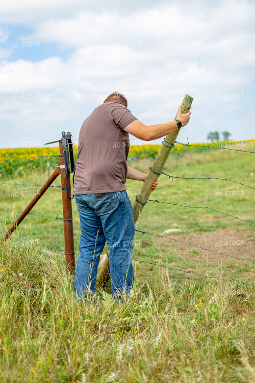 Putting Up Fence 155267