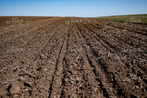 Freshly Planted Soil 185192