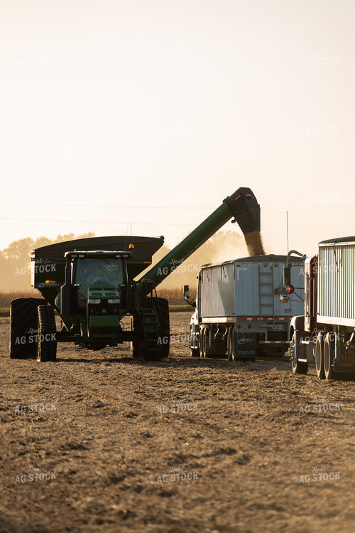 Soybean Harvest 274016