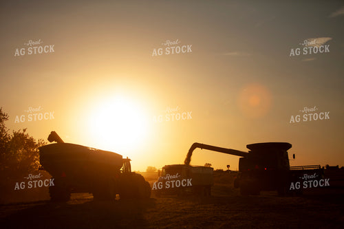 Harvest 1823