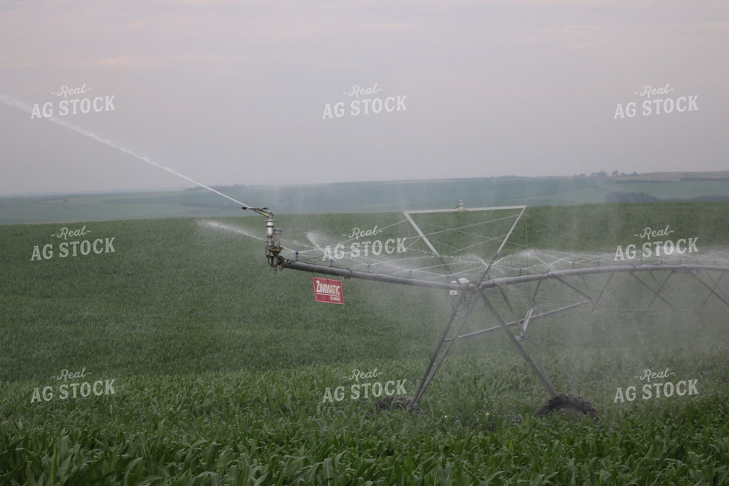 Irrigation System in Corn Field 82083